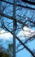 DSCN6004