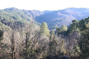 2022 02 18 Visa 2000 Collet de Dèze-59