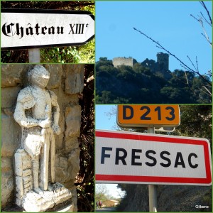 2017 04 07 Visa Bernard St Himmolyte du fort- les jumelles-002