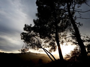 Col de l'Anse (23)