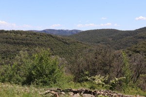 2021 05 14 Saint Sébastien d'Aigrefeuille Visa 2000-056