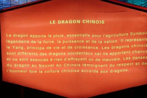 2021 12 16 Visa 2000 Blagnac Festival des Lanternes-009