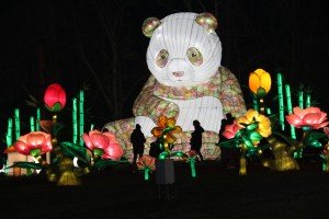 2021 12 16 Visa 2000 Blagnac Festival des Lanternes-022