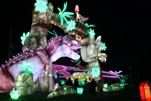 2021 12 16 Visa 2000 Blagnac Festival des Lanternes-023