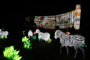 2021 12 16 Visa 2000 Blagnac Festival des Lanternes-082