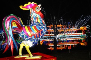 2021 12 16 Visa 2000 Blagnac Festival des Lanternes-097