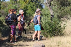 2022 06 10 Rando Visa 2000 St Hilaire de Brethmas-11