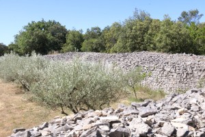 2022 06 10 Rando Visa 2000 St Hilaire de Brethmas-65