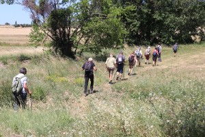 2022 06 10 Rando Visa 2000 St Hilaire de Brethmas-72