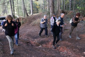 2022 11 18 Dolmens St Félix (03)