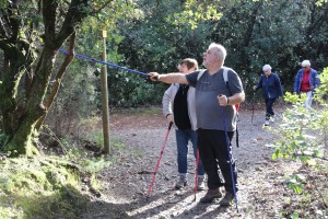 2022 11 18 Dolmens St Félix (04)