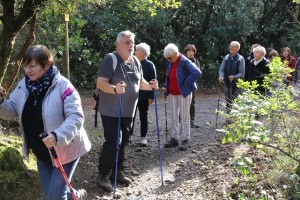 2022 11 18 Dolmens St Félix (06)