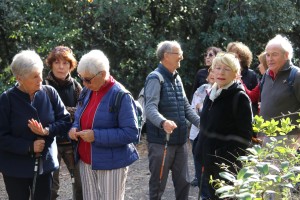 2022 11 18 Dolmens St Félix (07)