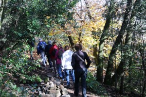 2022 11 18 Dolmens St Félix (11)