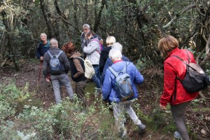 2022 11 18 Dolmens St Félix (14)