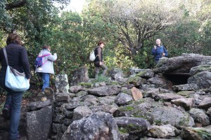 2022 11 18 Dolmens St Félix (22)