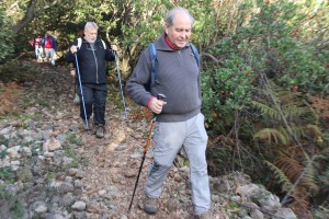 2022 11 18 Dolmens St Félix (49)