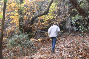 2022 11 18 Dolmens St Félix (54)