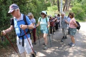 2023 05 26 Foret du Rouvergue VISA 2000-11