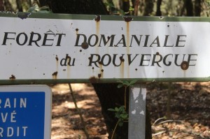 2023 05 26 Foret du Rouvergue VISA 2000-15