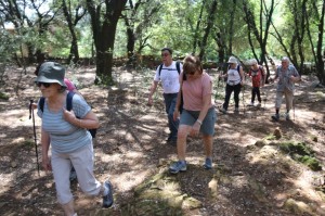 2023 05 26 Foret du Rouvergue VISA 2000-20