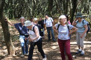 2023 05 26 Foret du Rouvergue VISA 2000-24