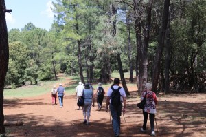 2023 05 26 Foret du Rouvergue VISA 2000-29