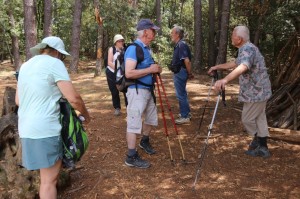 2023 05 26 Foret du Rouvergue VISA 2000-31
