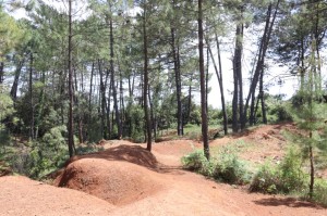 2023 05 26 Foret du Rouvergue VISA 2000-37