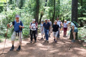 2023 05 26 Foret du Rouvergue VISA 2000-39