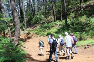 2023 05 26 Foret du Rouvergue VISA 2000-42