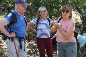2023 05 26 Foret du Rouvergue VISA 2000-46