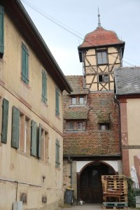 2023 11 27 Obernai et Strasbourg Visa-02