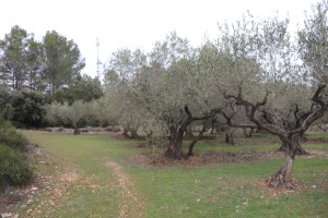 2024 01 26 Garrigues Collorgues Aubussargues VISA 2000-051