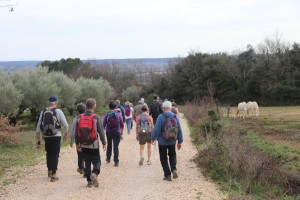 2024 01 26 Garrigues Collorgues Aubussargues VISA 2000-058