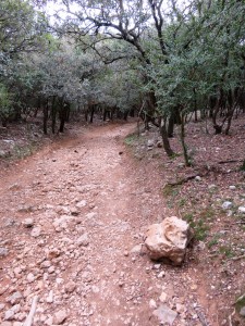 Rando St Bonet Du Gard - 3 Boucles (08)