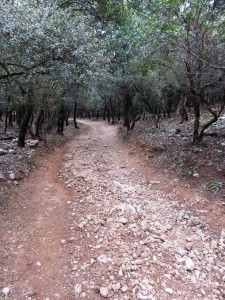 Rando St Bonet Du Gard - 3 Boucles (09)