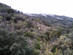 Rando St Bonet Du Gard - 3 Boucles (13)