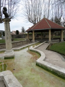 Rando St Bonet Du Gard - 3 Boucles (15)