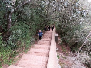 Rando St Bonet Du Gard - 3 Boucles (54)