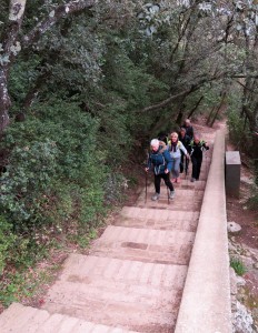 Rando St Bonet Du Gard - 3 Boucles (55)