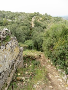 Rando St Bonet Du Gard - 3 Boucles (57)