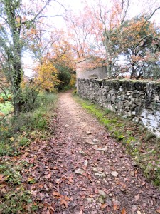 Les Capitellesde Blauzac - 20231215 (17)