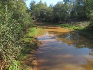 22.02.24 -Reconnaissance Belvezet (05)