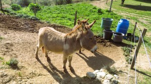 22.02.24 -Reconnaissance Belvezet (09)