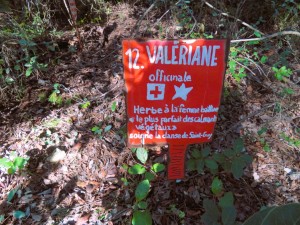 22.02.24 -Reconnaissance Belvezet (27)