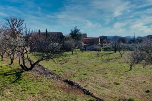 Carnoules3