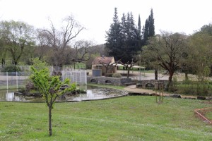 2024 03 29 Saint Julien les Rosiers Visa 2000-02
