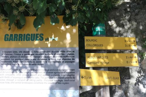 2024-11-15-Rando Collorgues-01