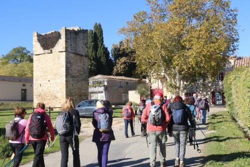 2024-11-15-Rando Collorgues-03